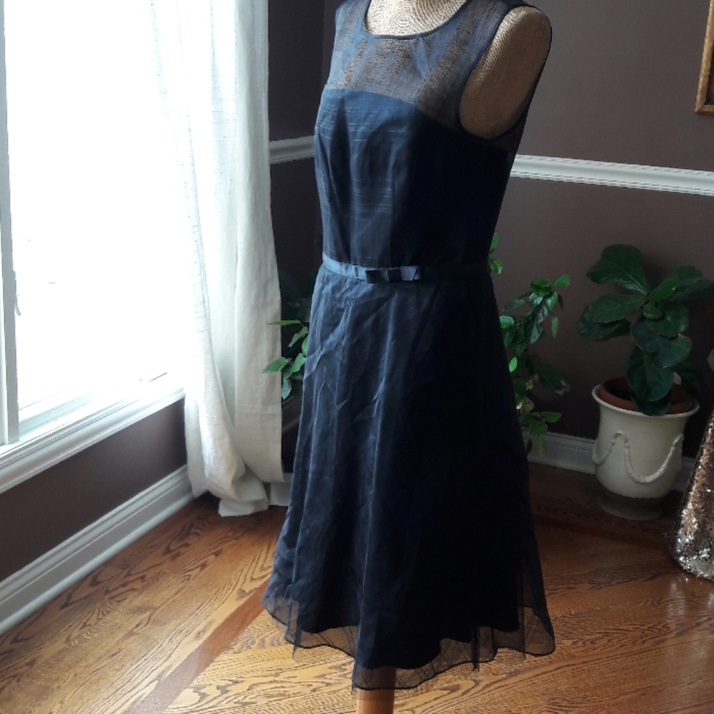 Express Dress - Picture 4 of 8